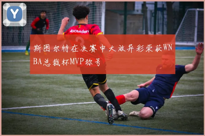 斯图尔特在决赛中大放异彩荣获WNBA总裁杯MVP称号