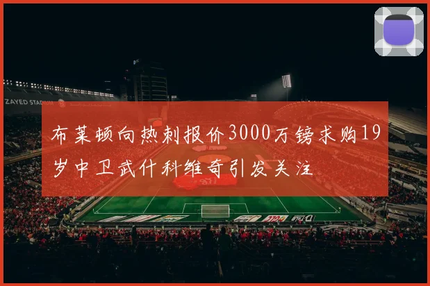 布莱顿向热刺报价3000万镑求购19岁中卫武什科维奇引发关注