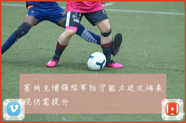 塞纳克增强绿军防守能力进攻端表现仍需提升