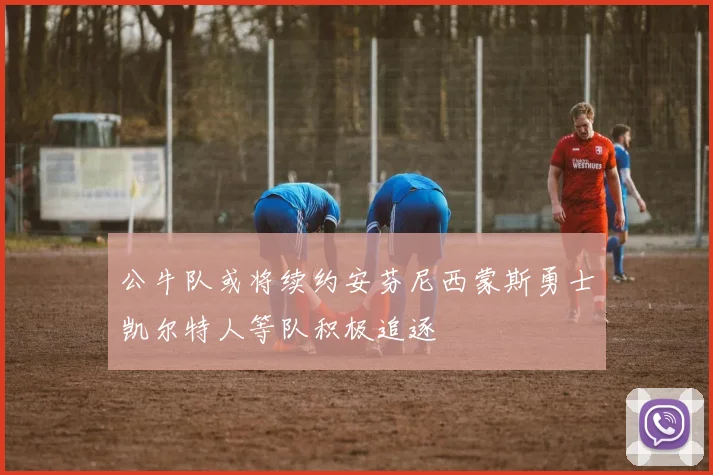 公牛队或将续约安芬尼西蒙斯勇士凯尔特人等队积极追逐