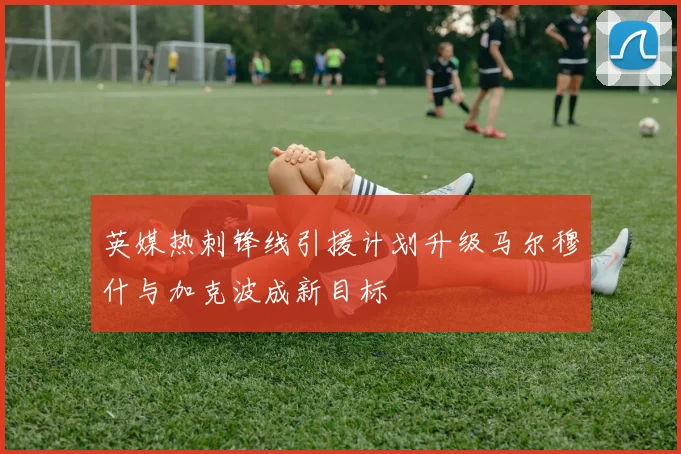 英媒热刺锋线引援计划升级马尔穆什与加克波成新目标